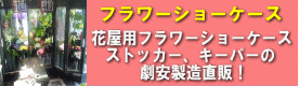 フラワーショーケース フラワーショーケース