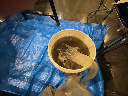 汚水