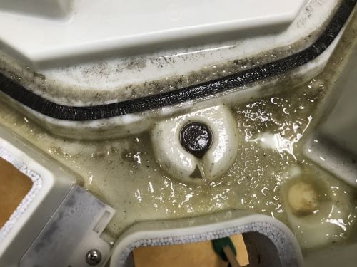 ドレンパンのドロドロの汚れ