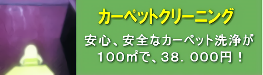 カーペットクリーニング